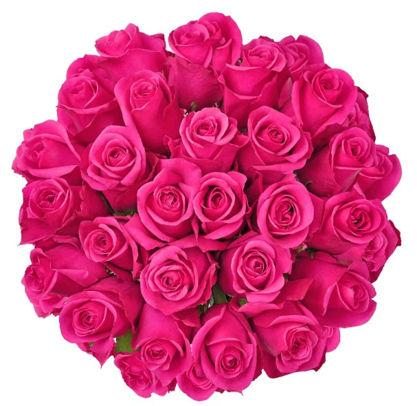 12 Christmas Roses Bouquet Flat Style