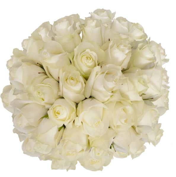 12 Christmas Roses Bouquet Flat Style