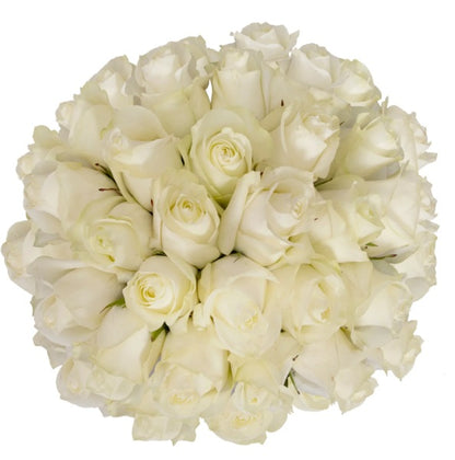 12 Christmas Roses Bouquet Flat Style