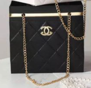 Chanel Purse