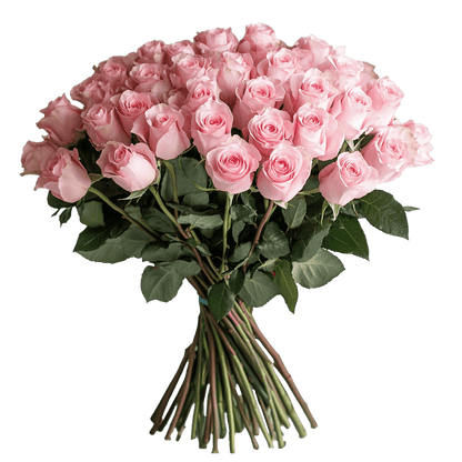 12 Christmas Roses Bouquet Flat Style